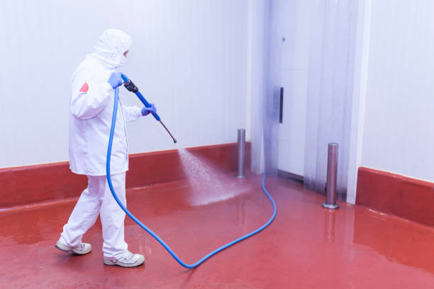  Syosset, NY Pressure Washing Pros